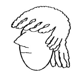 michele dissegna